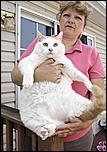 Click image for larger version

Name:	princess_chunky_a_44pound_cat.jpg
Views:	1707
Size:	36.8 KB
ID:	3238