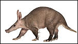 Click image for larger version

Name:	aardvark.jpg
Views:	340
Size:	702.1 KB
ID:	9138